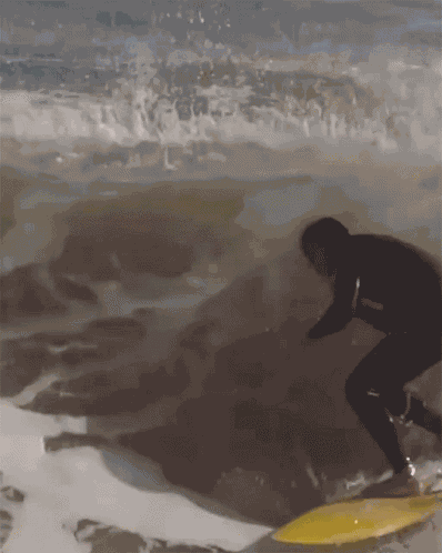 Surfista Dentro Da Onda Flamboiar GIF