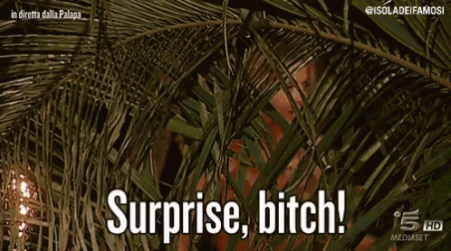 Surprise Bitch Isola Dei Famosi GIF