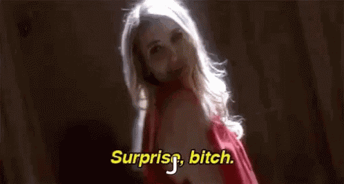 Surprise Bitch Surprise GIF