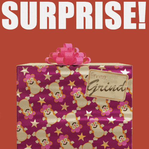 Surprise Surprise Party GIF