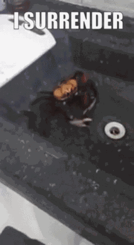 Surrender Surrendered GIF