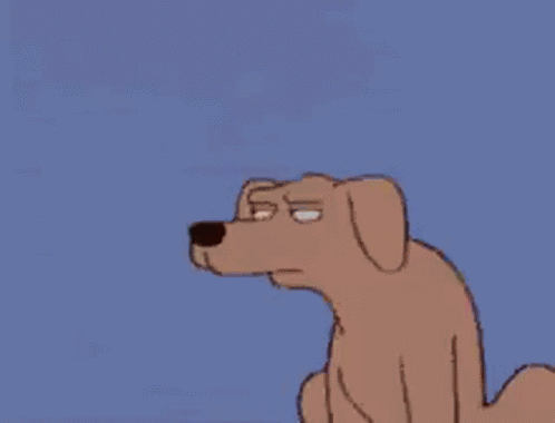 Suspicious Dog GIF