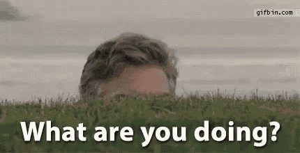 Suspicious Whats Up Gif GIF