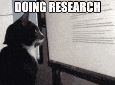 Suspiriaangel Cat Meme GIF