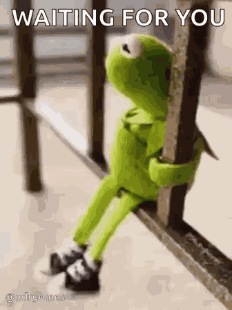 Sussa GIF