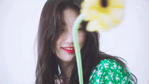 Suzy Guess GIF