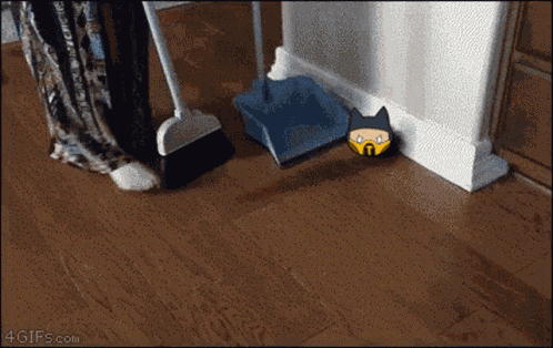 Sweep Kittens GIF