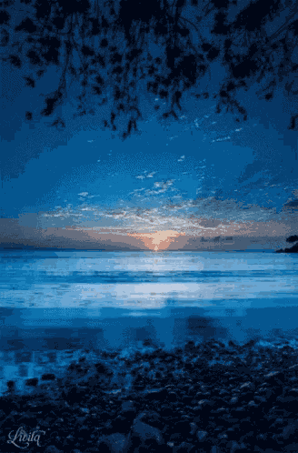 Sweet Dreams Calm GIF