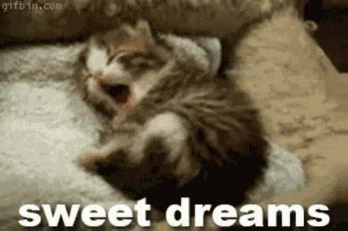 Sweet Dreams Cat GIF