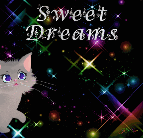 Sweet Dreams Good Night Gif Cute Cat Gif GIF