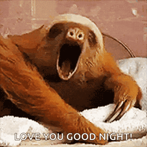 Sweet Dreams Good Night GIF