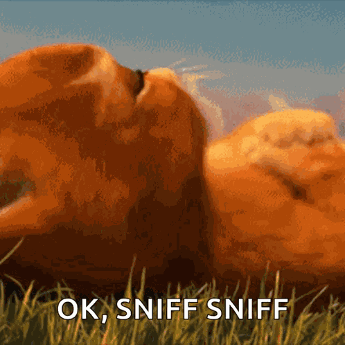 Sweet Miss You GIF