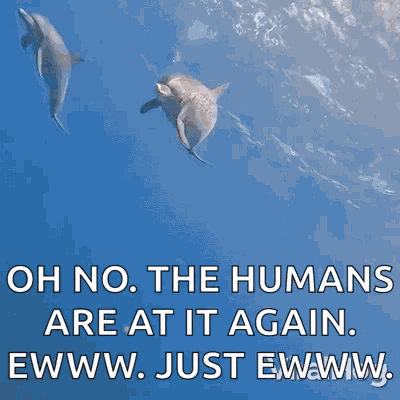 Swimming Dolphins Viralhog GIF