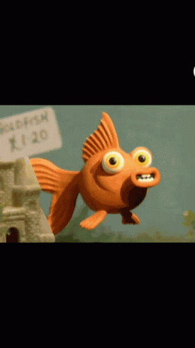 Swimming Fish GIF