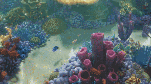 Swimming In The Reef GIF