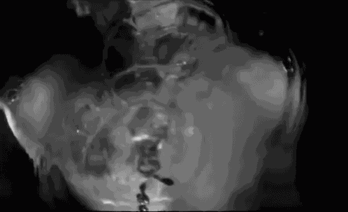 Swimming Washing Face GIF