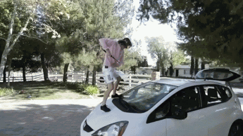 Sword Windshield GIF