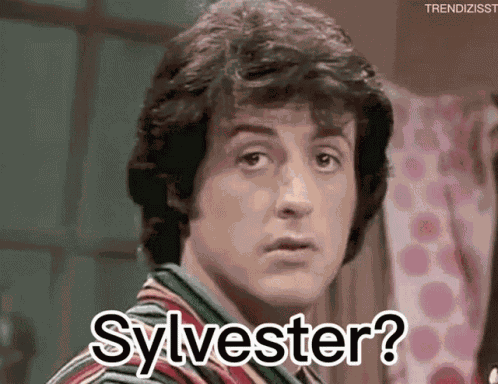 Sylvester Silvester GIF