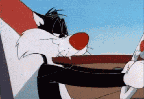 Sylvester The Cat Car Explosion GIF