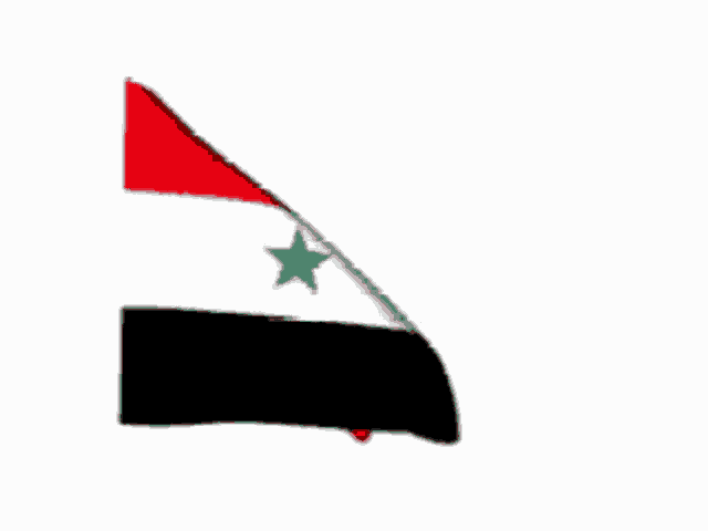 Syrian Flag Flags GIF