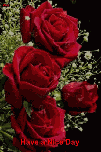 Szép Napot GIF