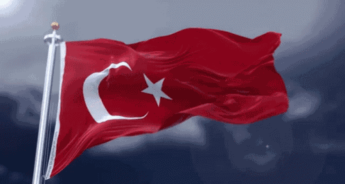 Türkei Türkiye GIF