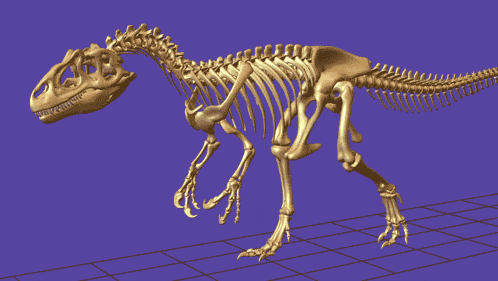 T Rex Dinosaur Skeleton Walking Cycle GIF