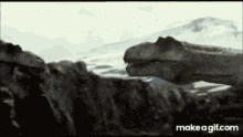 T Rex Fight GIF