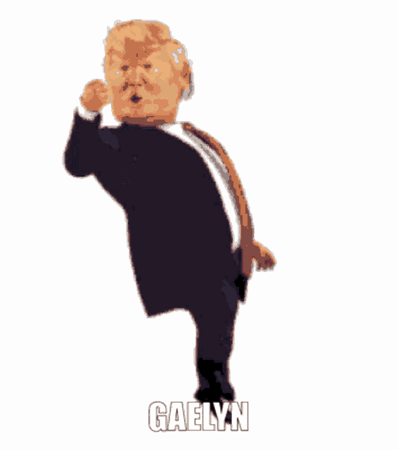 T Rump Donald Trump GIF