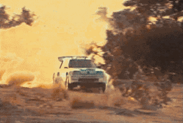 T16 Wrc GIF