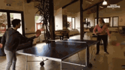 Table Tennis GIF