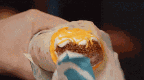 Taco Bell Burrito GIF