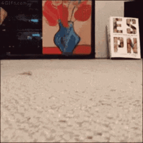 Taefavour GIF