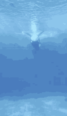 Tail Silly GIF
