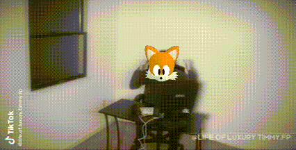 Tails Outome Memories GIF