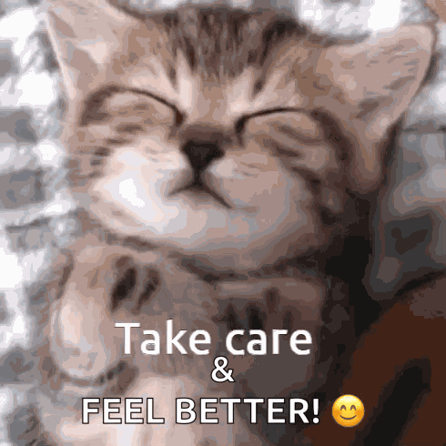 Take Care M Cat Take Care GIF