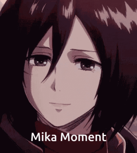 Taken Mika Mikasa GIF