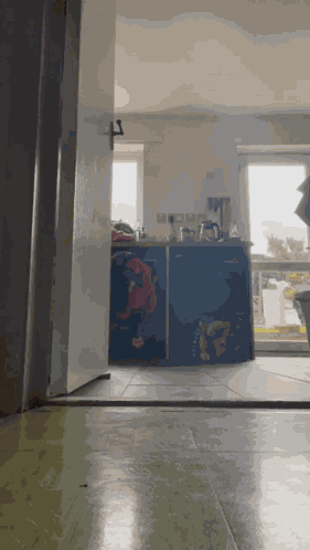 Talan Talon GIF