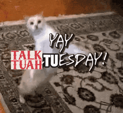 Talk Tuah Hawk Tuah GIF