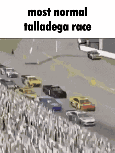 Talladega Cars GIF