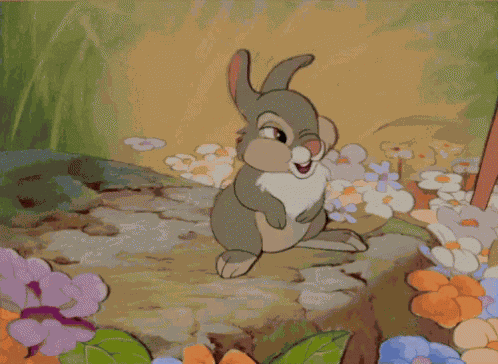 Tambo Coelho GIF