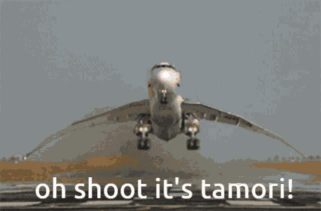 Tamori Airplane GIF