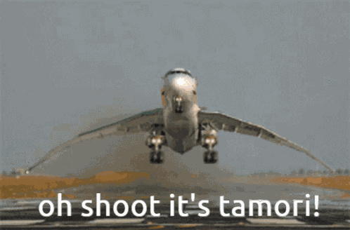 Tamori Airplane GIF
