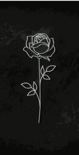Tano Rose GIF