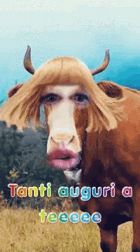 Tanti Auguri GIF