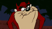 Tasmanian Devil Looney Tunes GIF