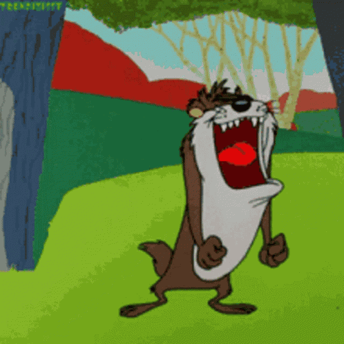 Tasmanian Devil Taz GIF