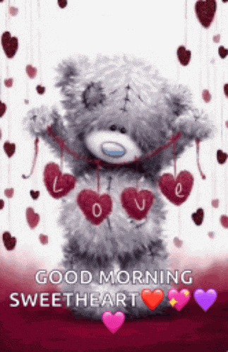 Tatty Teddy Love Meme