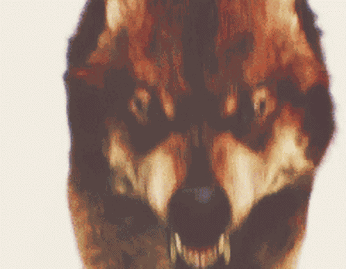Taylor Lautner Jacob Black GIF
