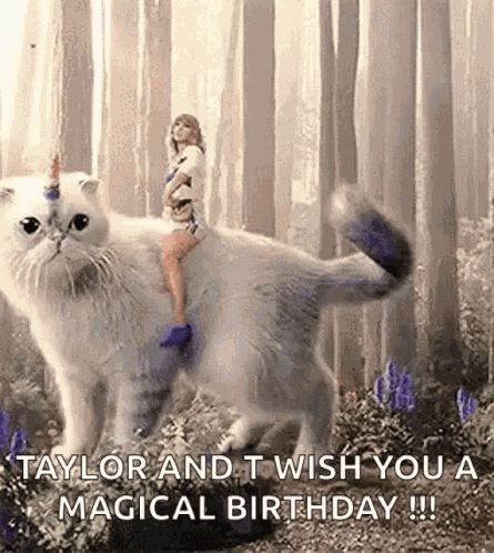Taylor Swift Cat GIF